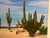 Textile Large Desert Landscape Painting by Becrio, 1990 – Monumental Cactus Scene, 40” X 30” For Sale - Image 7 of 12