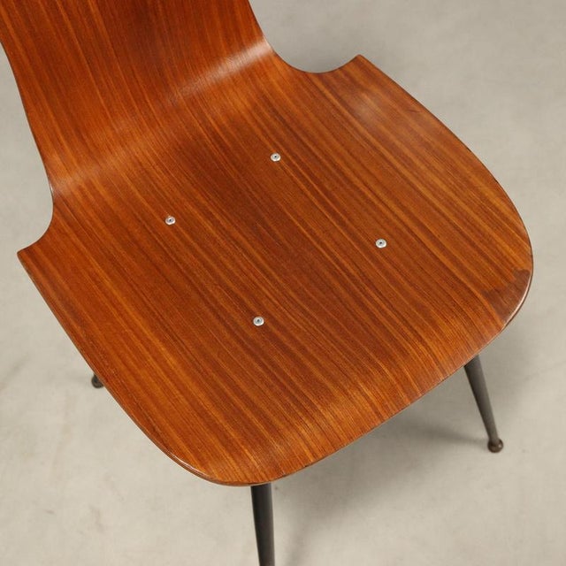Wood Vintage Bent Plywood Chairs, 1960s, Set of 6 For Sale - Image 7 of 9