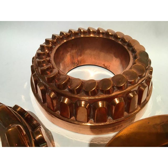 Copper Copper Kitchen Pudding Molds for Wall Decoration, France, 1790s, Set of 3 For Sale - Image 8 of 18