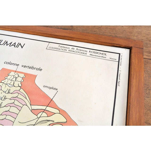 Teaching materials from france, 1950s/60s. Complete and in good condition! there are 11 double-sided school posters in the...