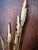 Vintage Brutalist brass-tone wall sculpture featuring sculptural cattails and stylized calla lilies mounted on a shield-...
