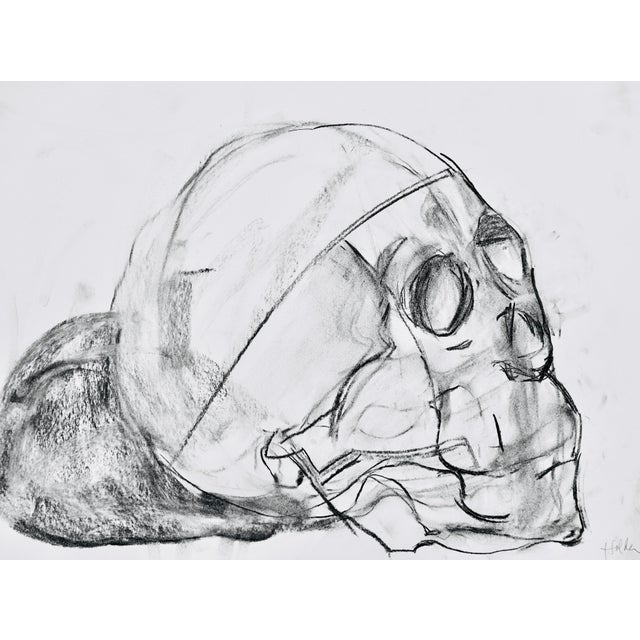 Contemporary "Skull" Drawing Charcoal on Paper by Martha Holden For Sale
