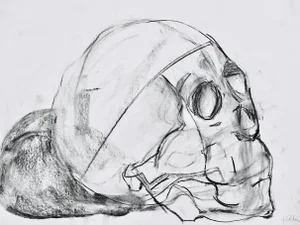 Contemporary "Skull" Drawing Charcoal on Paper by Martha Holden