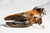 Country Sporting Decor Antique English Sterling Silver Mounted Deer Hoof Taxidermy Inkwell For Sale - Image 13 of 14