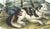 Original first edition Audubon stone lithograph from "The Viviparous Quadrupeds of North America", octavo edition, printed...