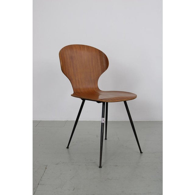 Italian Chairs by Carlo Ratti for Industria Legni Curvati, 1950s, Set of 4 For Sale - Image 17 of 18