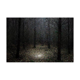 Stars 1, Ellie Davies, British Photography, 2014 For Sale