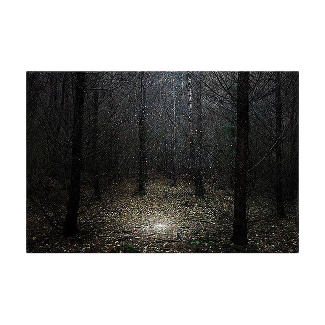 Stars 1, Ellie Davies, British Photography, 2014 For Sale