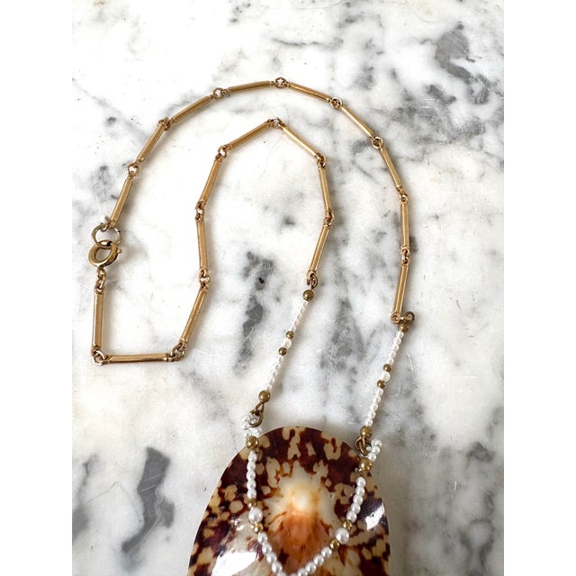 This necklace made with a polished brown limpet shell used as a focal point with pearls and a gold plate chain.