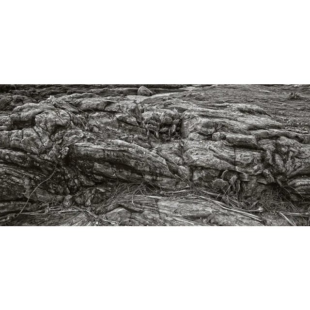 Unforgiven - Signed Limited Edition Stuart Möller Rocks and cacti near a coastline. This print : paper size - 30 x 40...