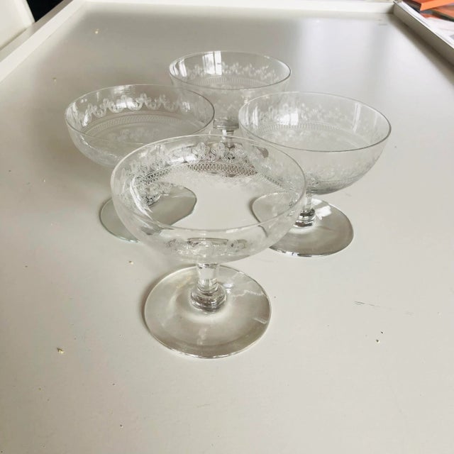 Glass Antique Clear Etched Sherbet/Champagne Glasses S/4 For Sale - Image 7 of 7