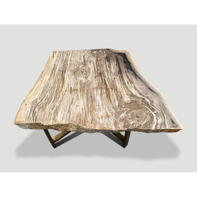 Andrianna Shamaris Live Edge Petrified Wood Coffee Table For Sale - Image 11 of 18