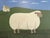 Contemporary 'Mary' Original Naïve Style Animal Oil Painting by British Artist Matt Rix, Framed For Sale - Image 9 of 9