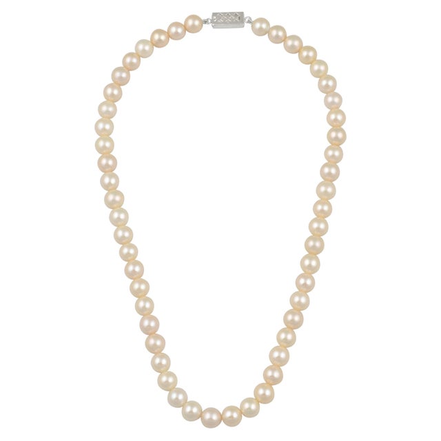 51 Round White Fresh Water Pearls Strand Necklace Set in Silver Clasp For Sale - Image 10 of 18