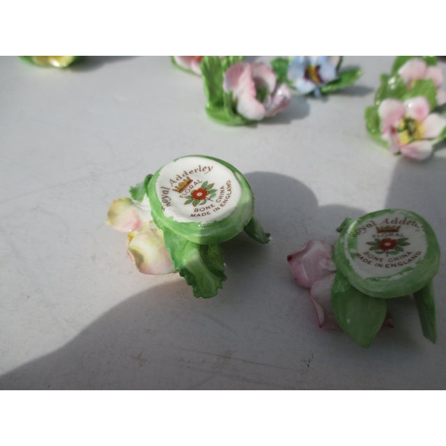 Placard Holders by Royal Adderley- Set of 10 For Sale - Image 4 of 5