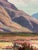 Richard Guy Walton (1914-2005) Desert Landscape Oil on canvas board "Desert Verbena" 16 x 20 unframed, 23.75 x 27.5 framed