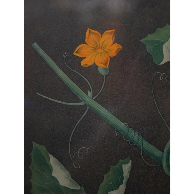1960s Pair of Fruit Prints by George Brookshaw For Sale - Image 5 of 15