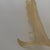 Contemporary Faux Translucent Amber Deer Antler For Sale - Image 3 of 8