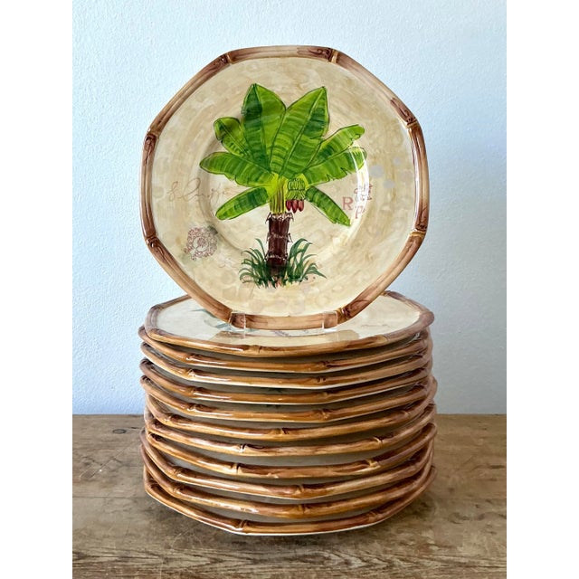 Tan Vintage Coastal Glazed Ceramic Dinner Plates - Set of 12 For Sale - Image 8 of 10