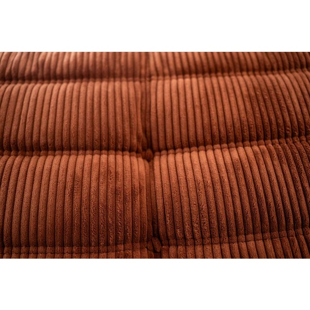 Togo Two-Seat in Brown Corduroy by Michel Ducaroy for Ligne Roset For Sale - Image 11 of 12