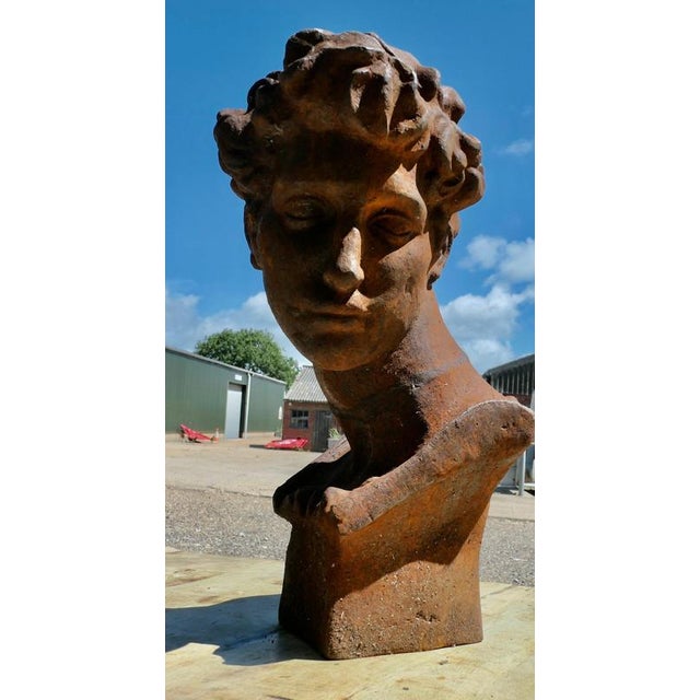 Cast Iron Bust of Michelangelos David, 1960 For Sale - Image 4 of 5