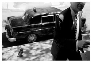 Early 21st Century "The Raven's Message from the Leon Eyrie Series" Digital Fiber Print by Lauren Bilanko
