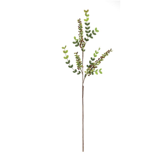 Enhance your home decor with the natural beauty of this Variegated Red Berry Foliage Spray set. Featuring stunning faux...