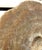 Large Yap Island Pre-O'Keefe Type (19th Century or Earlier) Rai Stone Money For Sale - Image 9 of 18