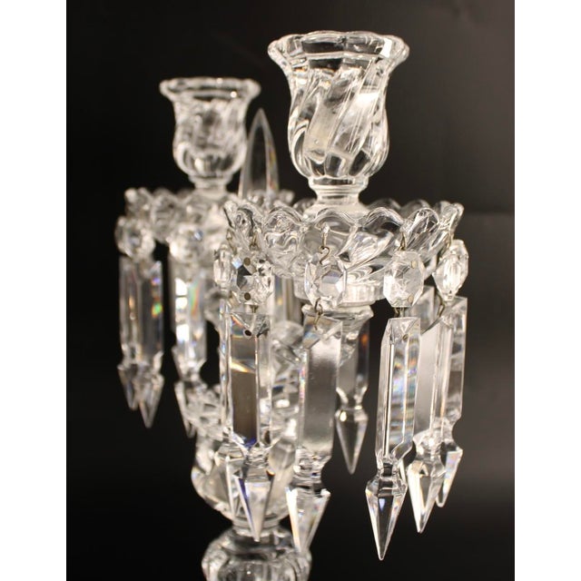 Baccarat France Crystal Bambous Tors 2-Light Candelabra Lustre, Signed For Sale In Dallas - Image 6 of 11