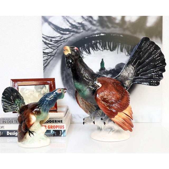 Large capercaillie cock porcelain figurine no. 3702 in made by Hertwig & Co., Katzhütte / Reinhard G. Möller, Thuringia,...