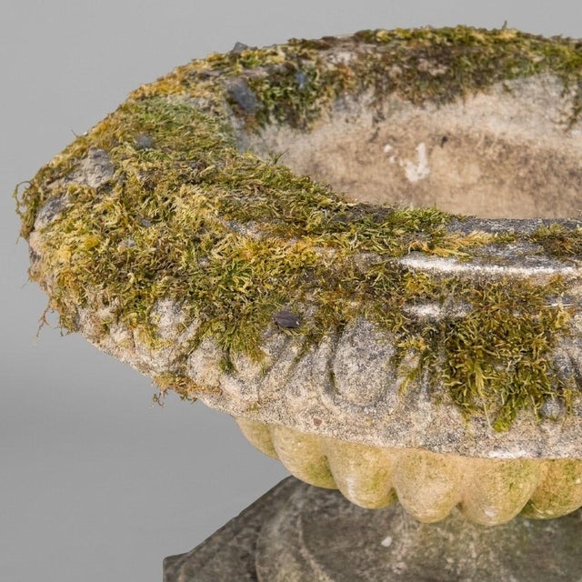 English Garden Basin on Patinated Stone Pedestal, 1920s For Sale - Image 4 of 16
