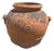 Italian Terracotta Grain Storage Jar, 1950s For Sale