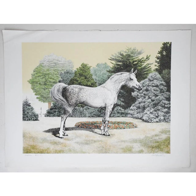 1974 Mel Hunter Arabian Horse Lithograph For Sale - Image 4 of 5