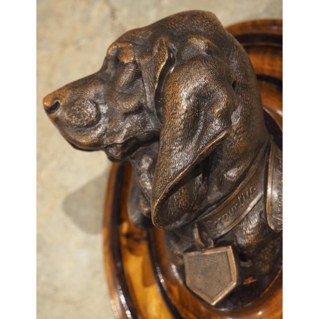 A Signed Antique French Medallion Bronze Bust of the St. Hubert Hound (1851-1925) For Sale - Image 9 of 15