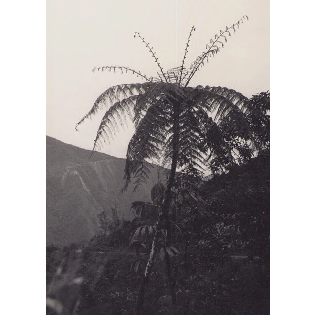 Hanna Seidel (* August 3, 1925; † September 9, 2005 in Cologne) was a a German amateur photographer. She focussed in her...