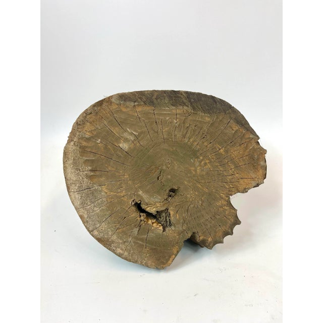 Mid 19th Century 19th Century Chinese Dragon Wood Carving For Sale - Image 5 of 6