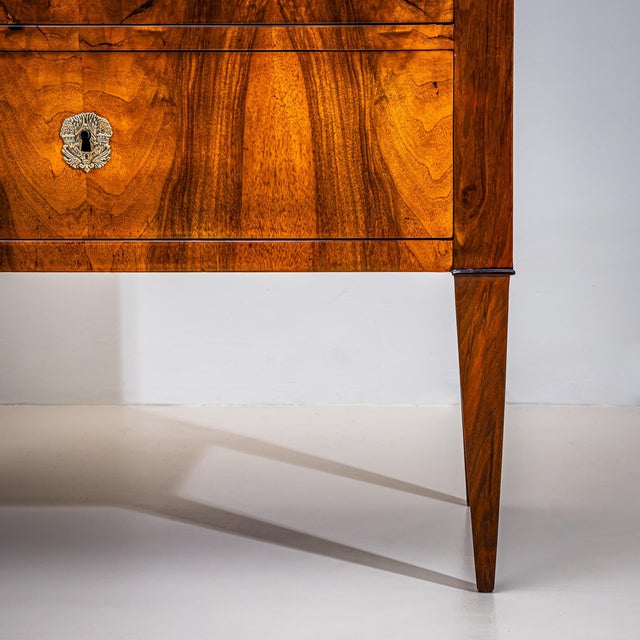 Biedermeier Chest of Drawers in Walnut, Circa 1820 For Sale - Image 4 of 10