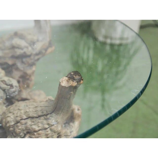 Petrified 1960s Brown Wood Coffee Table Glass Top For Sale - Image 4 of 11
