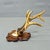 Bone Antique Set of Black Forest Roe Deer Trophies, Germany Ca. 1890s/1900s For Sale - Image 7 of 10