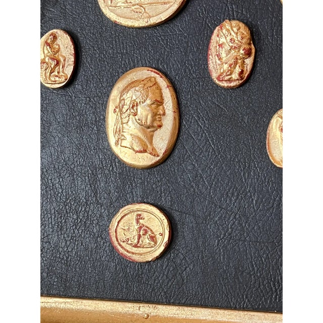 Wood Grand Tour Neoclassical Gilded Collection of Classical Intaglio and Cameo on the Leather Ground With Gilt Frame For Sale - Image 7 of 10