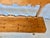 19th Century Italian Pine Frattino Design Bench For Sale - Image 10 of 12