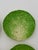 Late 19th Century Late 19th Century Eb Napoli Italian Majolica Lettuceware Plates - Set of Four For Sale - Image 5 of 16