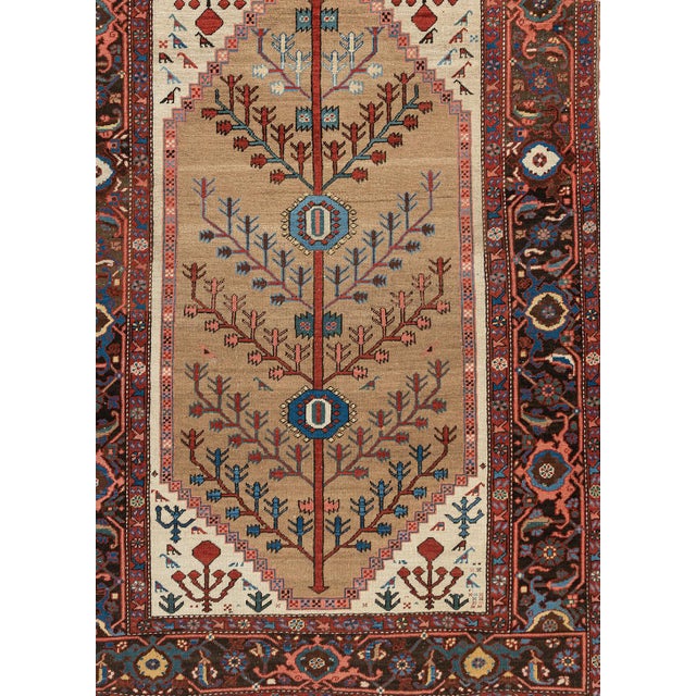 Tan Antique Camel Hair Bakshaish Area Rug, 4'6 X 6'6 For Sale - Image 8 of 8