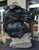 Half-bust statue depicting horse's head with a stirrup worked that decorates the neck of the horse giving an important and...