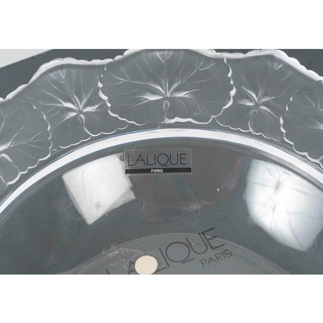 Glass Crystal Bow from Lalique, 20th Century For Sale - Image 7 of 8