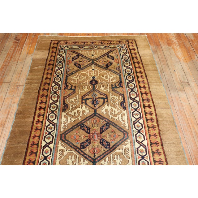 Late 19th Century Camel Hair Runner - 3'8" x 11' For Sale - Image 12 of 18