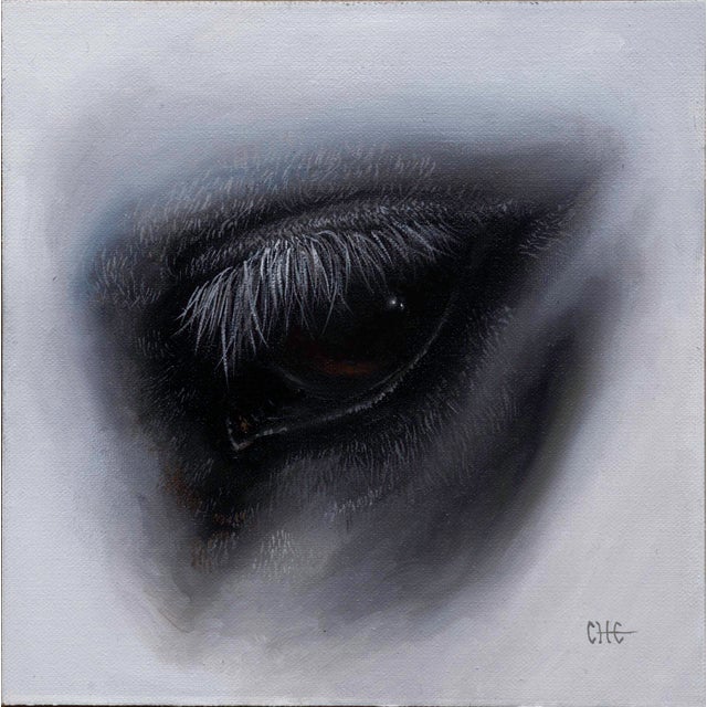 This artwork presents a close-up view of an eye, rendered with meticulous detail that captures the delicate textures of...
