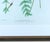 Henry Bradbury Nature-Printed Fern Botanical Prints, Set of Four, Framed For Sale - Image 13 of 18