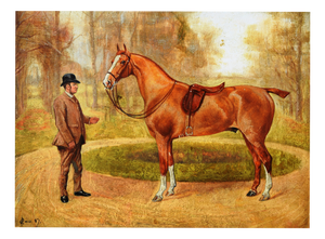 George Paice, Painting Racehorse Mohican, 1887, Framed, 1887, Oil on Board
