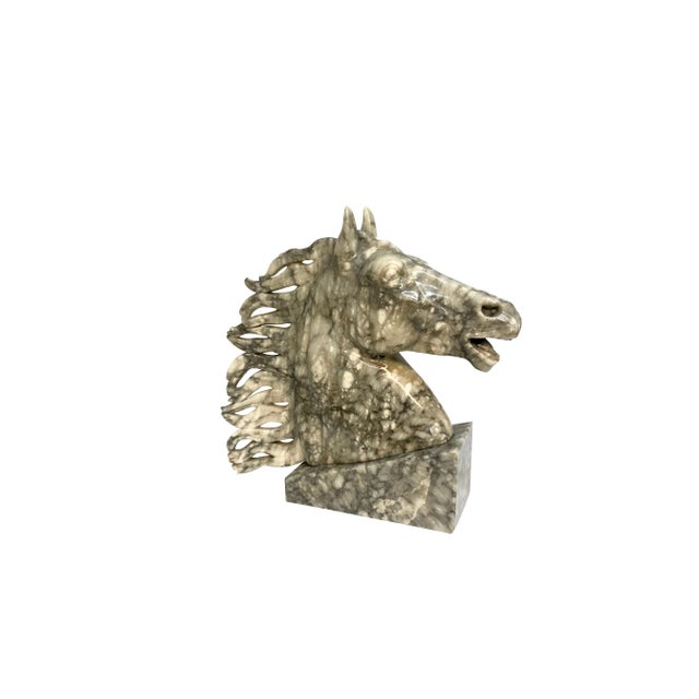 Mid Century Marble Horse Head Bust on Marble Base For Sale - Image 10 of 10